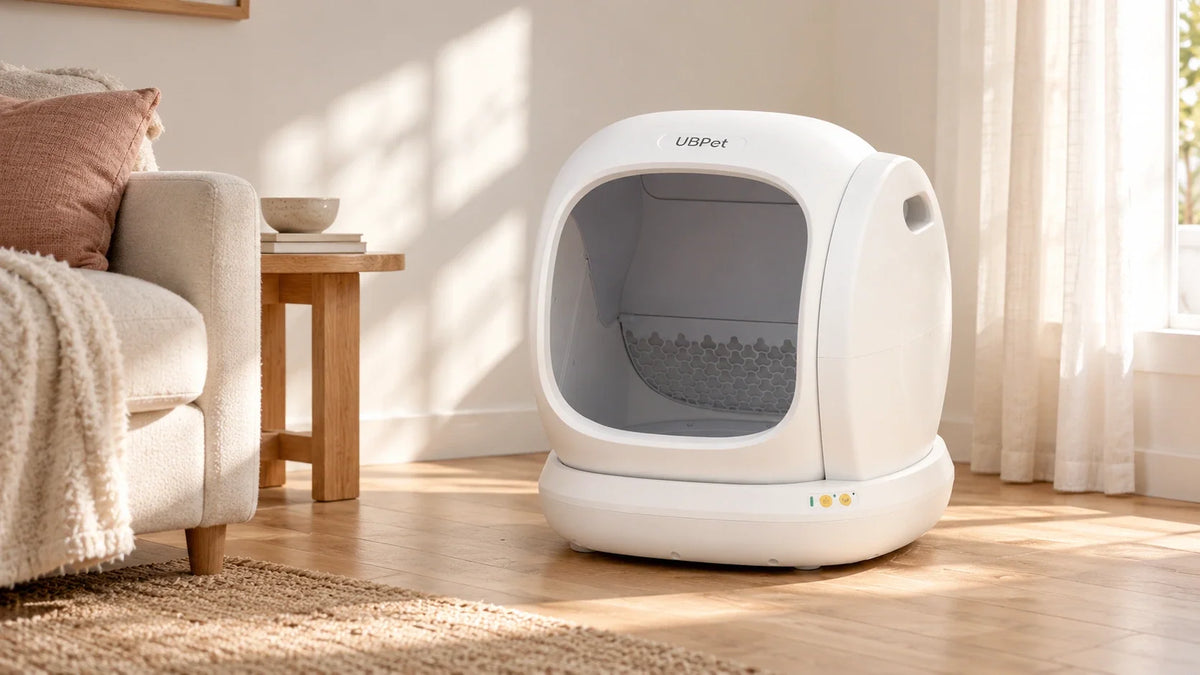 Litière automatique blanche à grande ouverture dans un espace calme, avec une entrée dégagée.