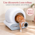 Chat roux et blanc sortant de la litière automatique vue de trois-quarts.