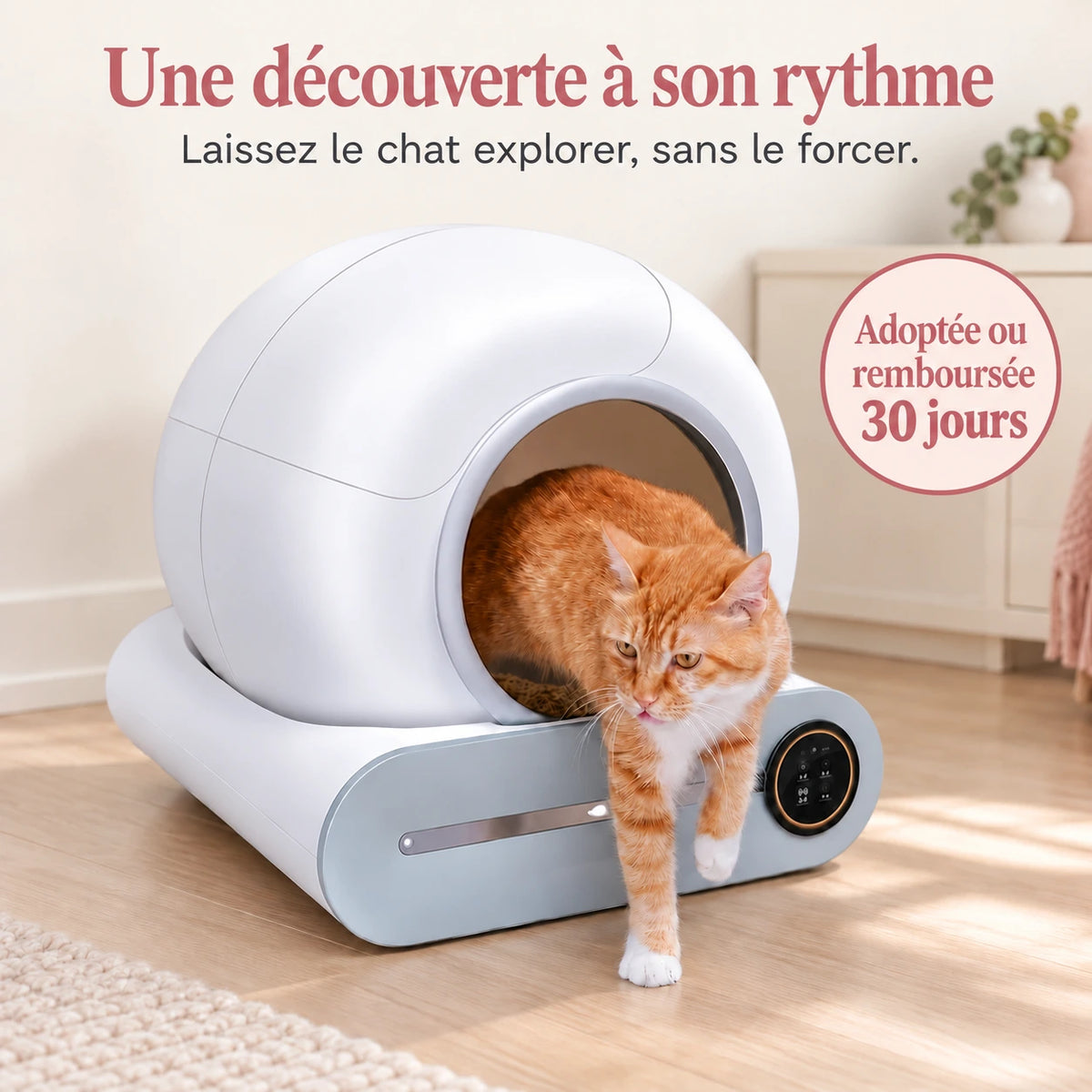 Chat roux et blanc sortant de la litière automatique vue de trois-quarts.
