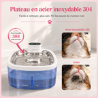 Fontaine à eau pour chat avec plateau en acier inoxydable 304