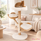 Chat installé sur le perchoir de l'arbre à chat design en bois