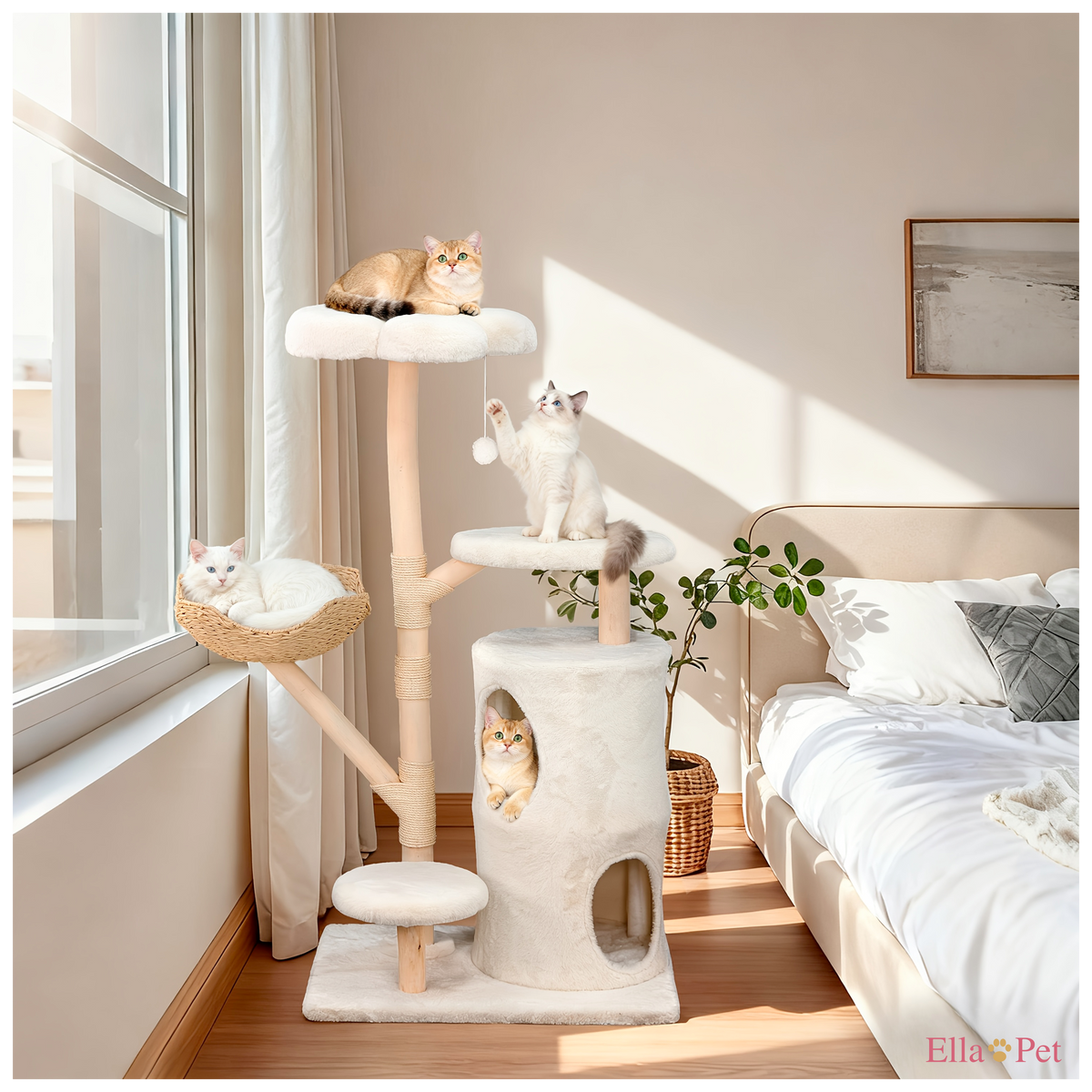 Vue détaillée de la niche privée de l'arbre à chat