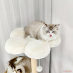 Chat se reposant dans le perchoir de l'arbre à chat