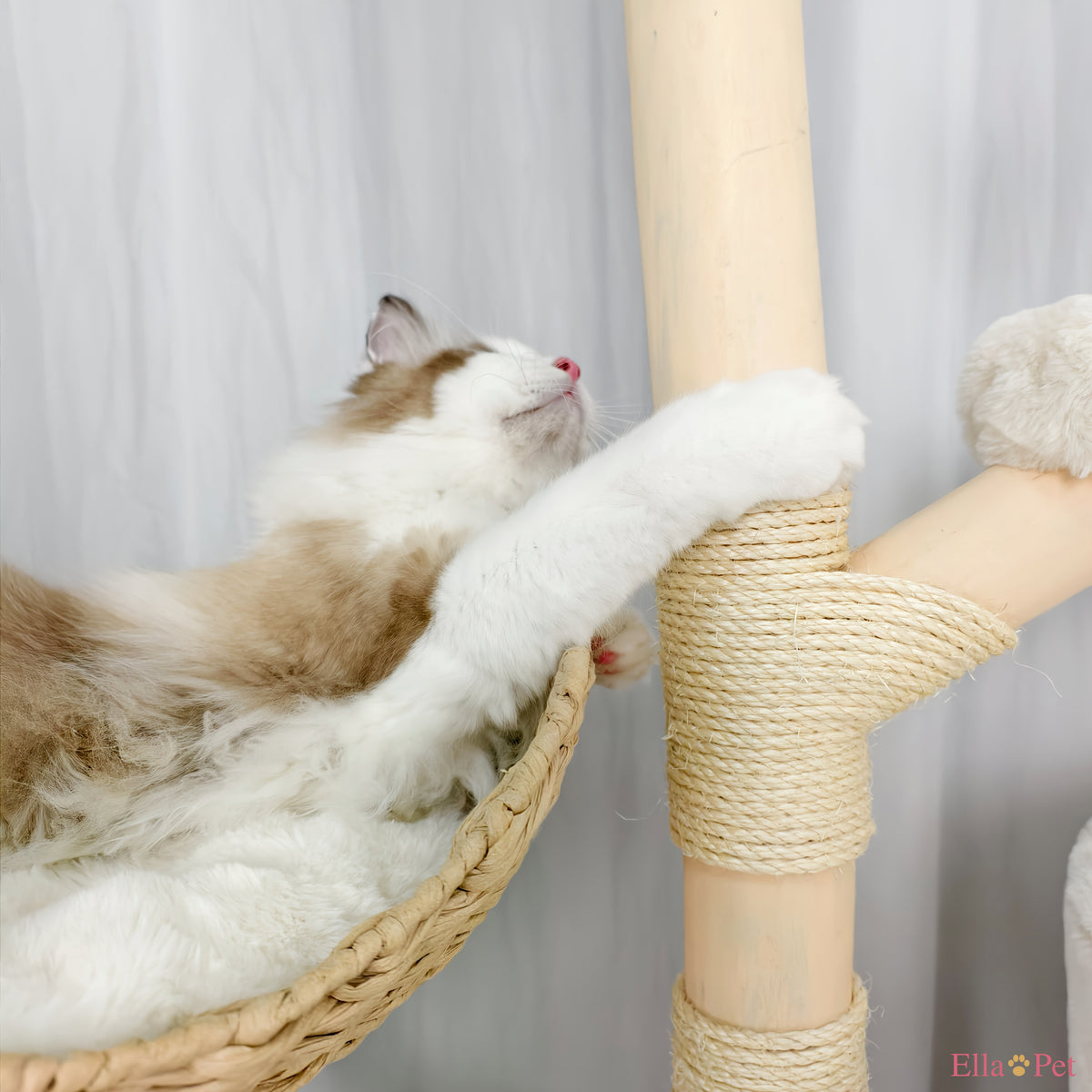 Chat se reposant dans le panier de l'arbre à chat