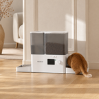 Chat mangeant des croquettes avec le distributeur automatique 2-en-1, avec réserve d'eau intégrée