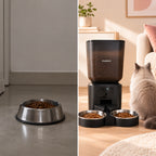 Comparaison entre une gamelle classique et un distributeur automatique de nourriture pour chat avec double bol