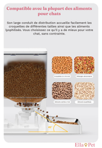 Sortie de croquettes du distributeur compatible avec des aliments secs ou lyophilisés de 2 à 20 mm de diamètre.