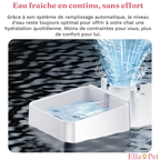 Réservoir d'eau du distributeur 2-en-1 avec remplissage automatique par gravité pour une eau fraîche en continu.