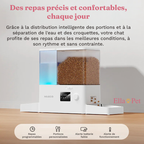 Distributeur automatique 2-en-1 assurant des portions de croquettes précises et régulières pour le confort du chat.