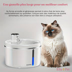Gamelle large et confortable pour un accès facile à l'eau