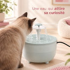 Chat attiré par l'eau en mouvement de la fontaine, sans visage visible