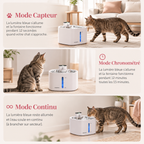 Les 3 modes de fonctionnement de la fontaine à eau pour chat
