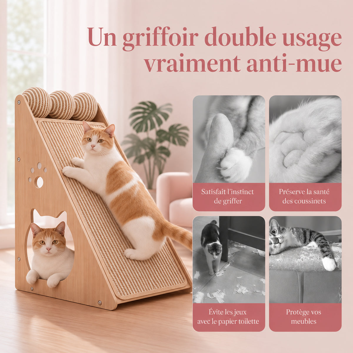 Griffoir chat sisal, usage à la fois pour griffer et pour jouer