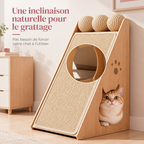 Chat prenant une position naturelle sur le griffoir en sisal