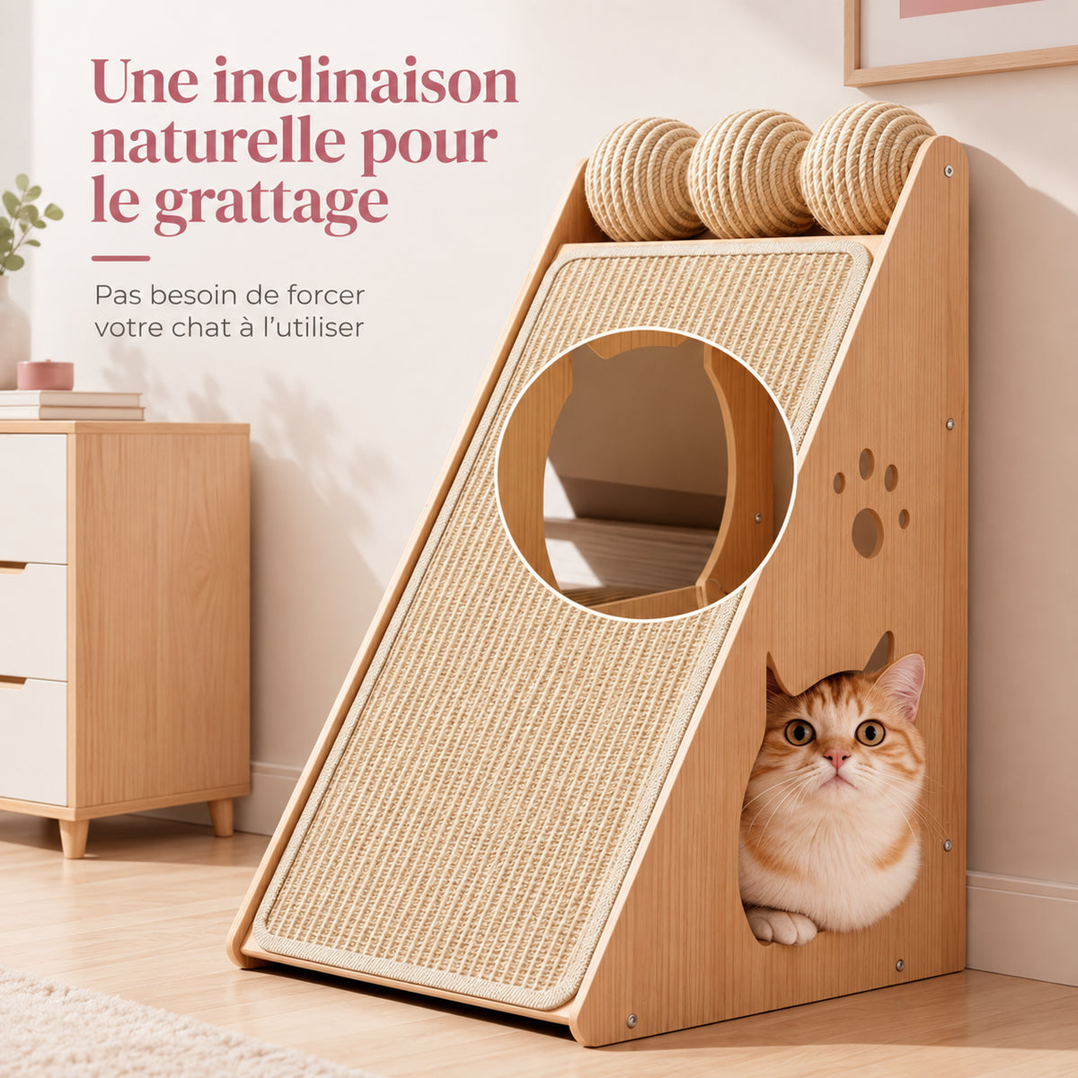 Chat prenant une position naturelle sur le griffoir en sisal