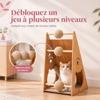 Chat jouant avec la balle suspendue du griffoir, plusieurs positions