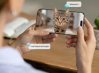 Chat satisfait devant sa mangeoire automatique 8L avec la communication bidirectionnelle 