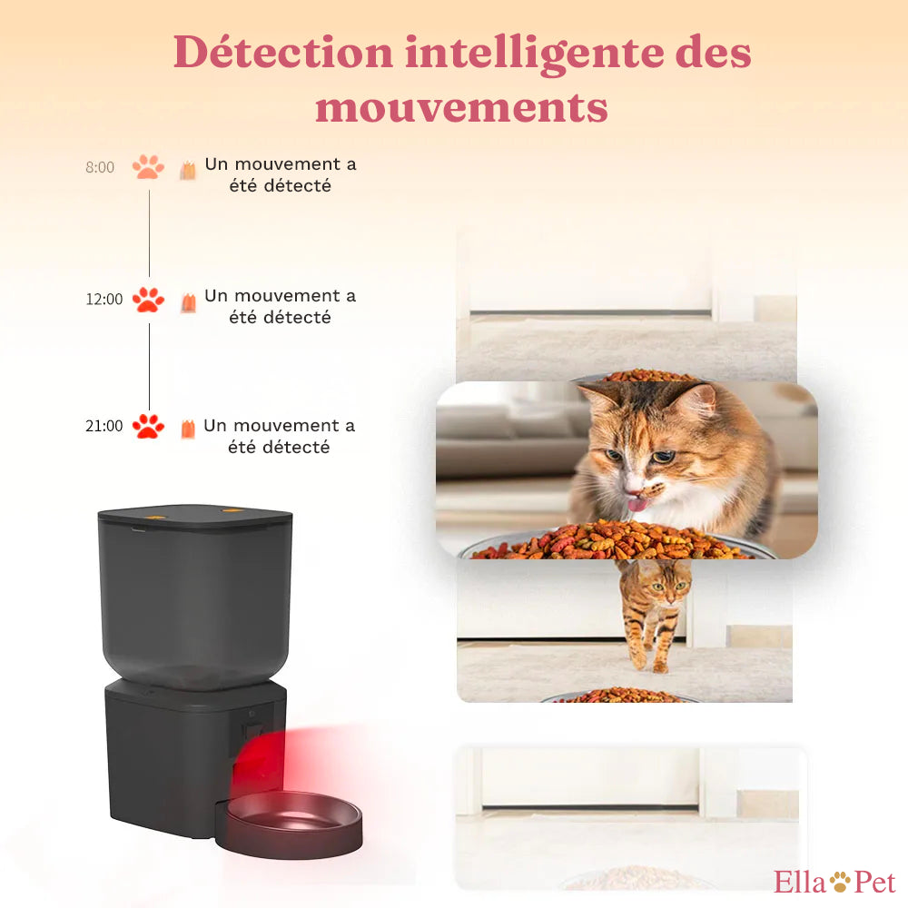 Détection de mouvement par IA de la mangeoire automatique 8L